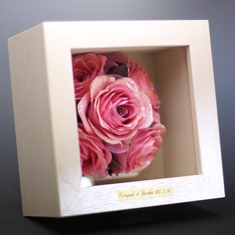 ���饭��ԥ󥯥����� �ɥ饤�ե� ���塼�ӥå�