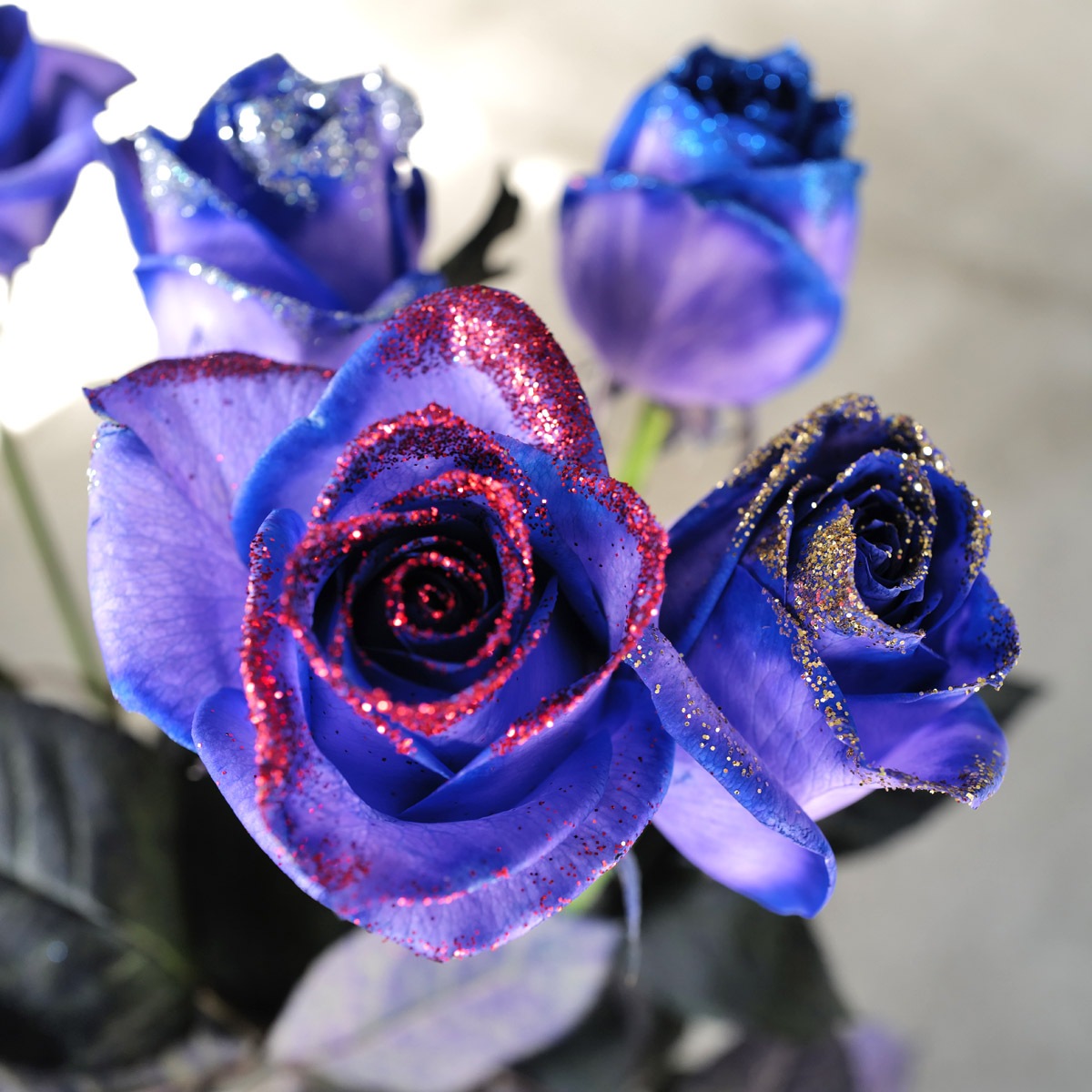 紫のバラ 50本の花束 | 色から探す,紫,紫のバラ,花束 | ROSESHOP 青い