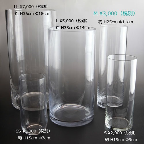 ����20�ܤȥԥ󥯤Τ�������β�«