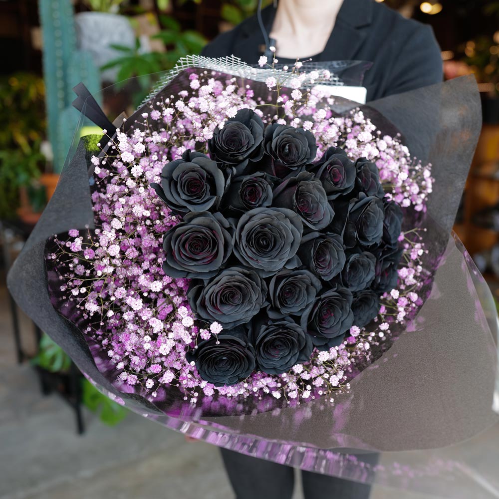 ����20�ܤȥԥ󥯤Τ�������β�«