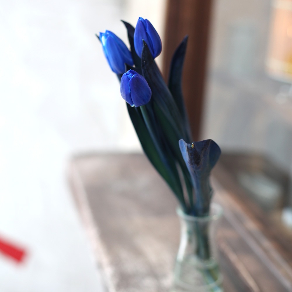 Ĥ塼å10ܤȥ饭Ĥβ«