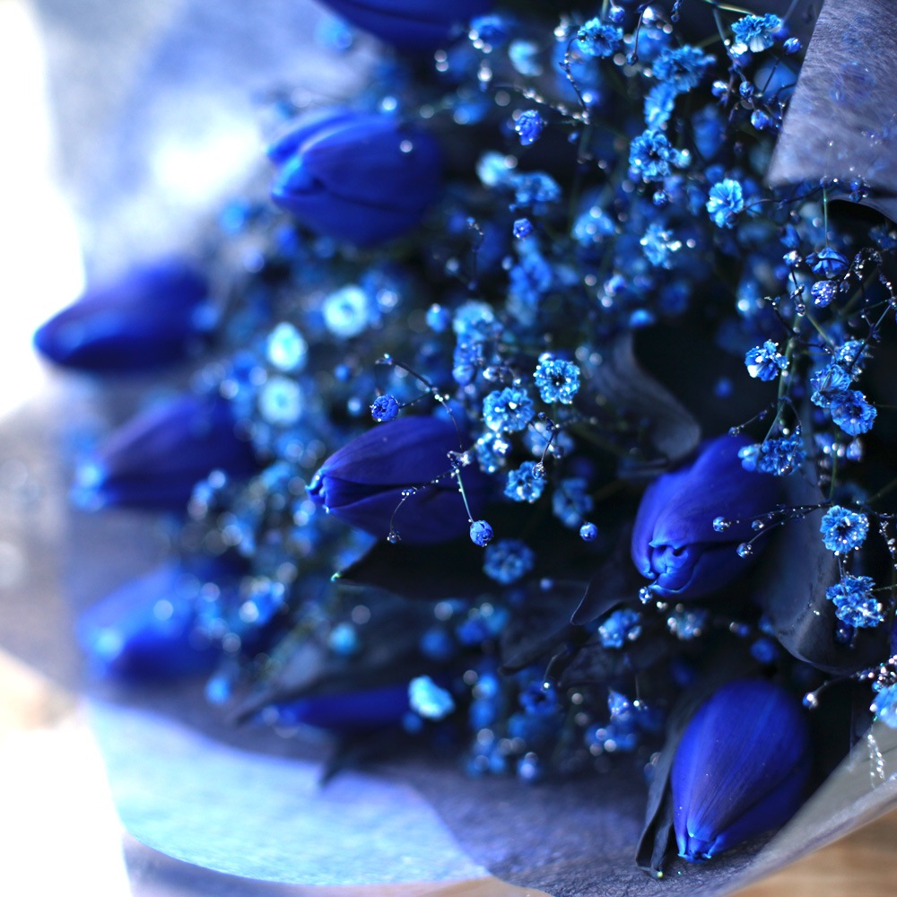 Ĥ塼å10ܤȥ饭Ĥβ«