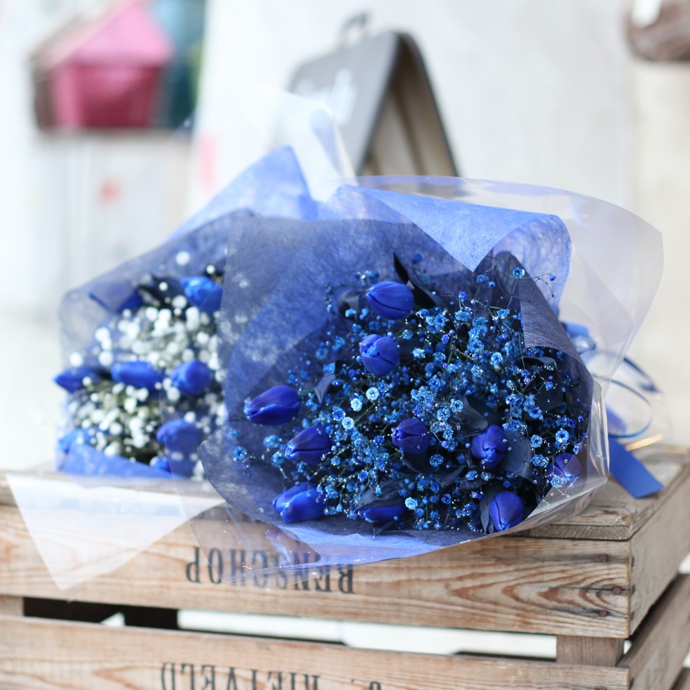 Ĥ塼å10ܤȥ饭Ĥβ«