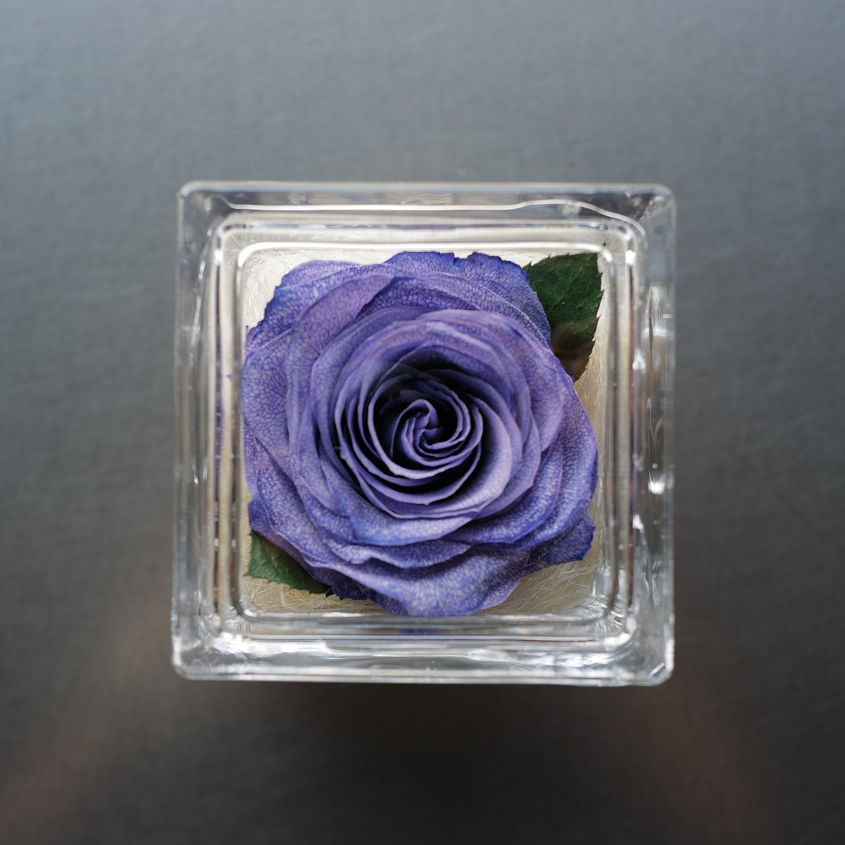 ドライフラワー紫のバラ イングラス | スタイルから探す,イングラス