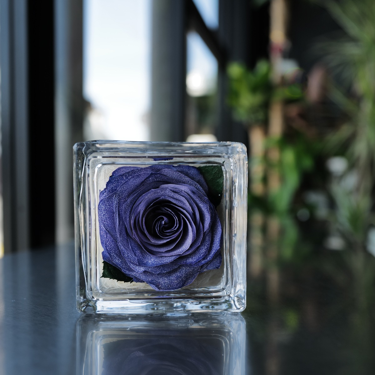 ドライフラワー紫のバラ イングラス | スタイルから探す,イングラス