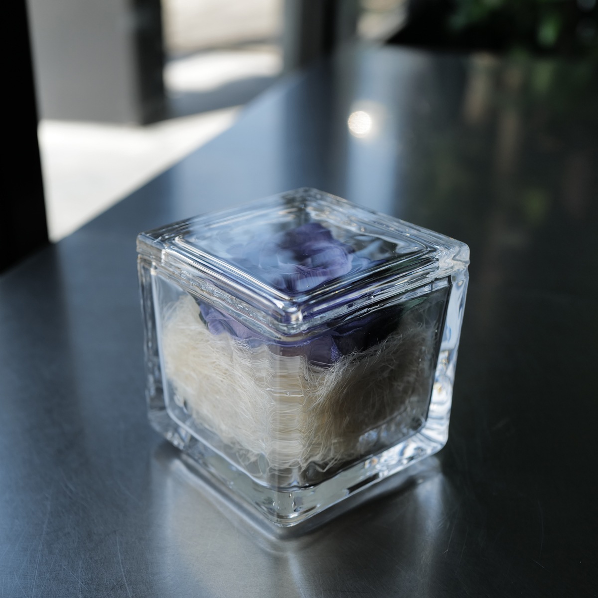 �ɥ饤�ե���ΥХ� ���󥰥饹