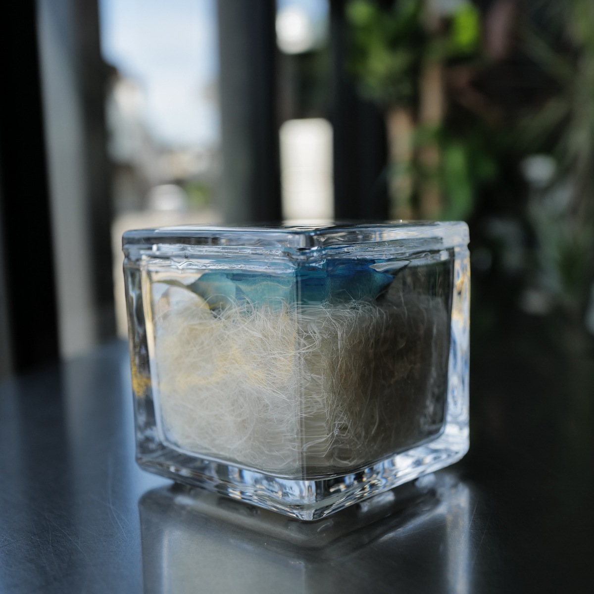 �ɥ饤�ե��忧�ΥХ� ���󥰥饹