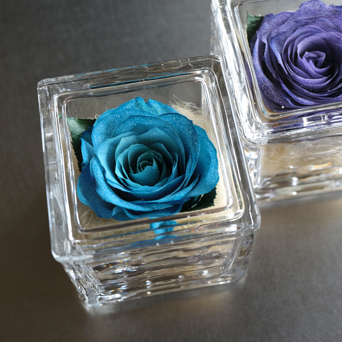 �ɥ饤�ե��忧�ΥХ� ���󥰥饹