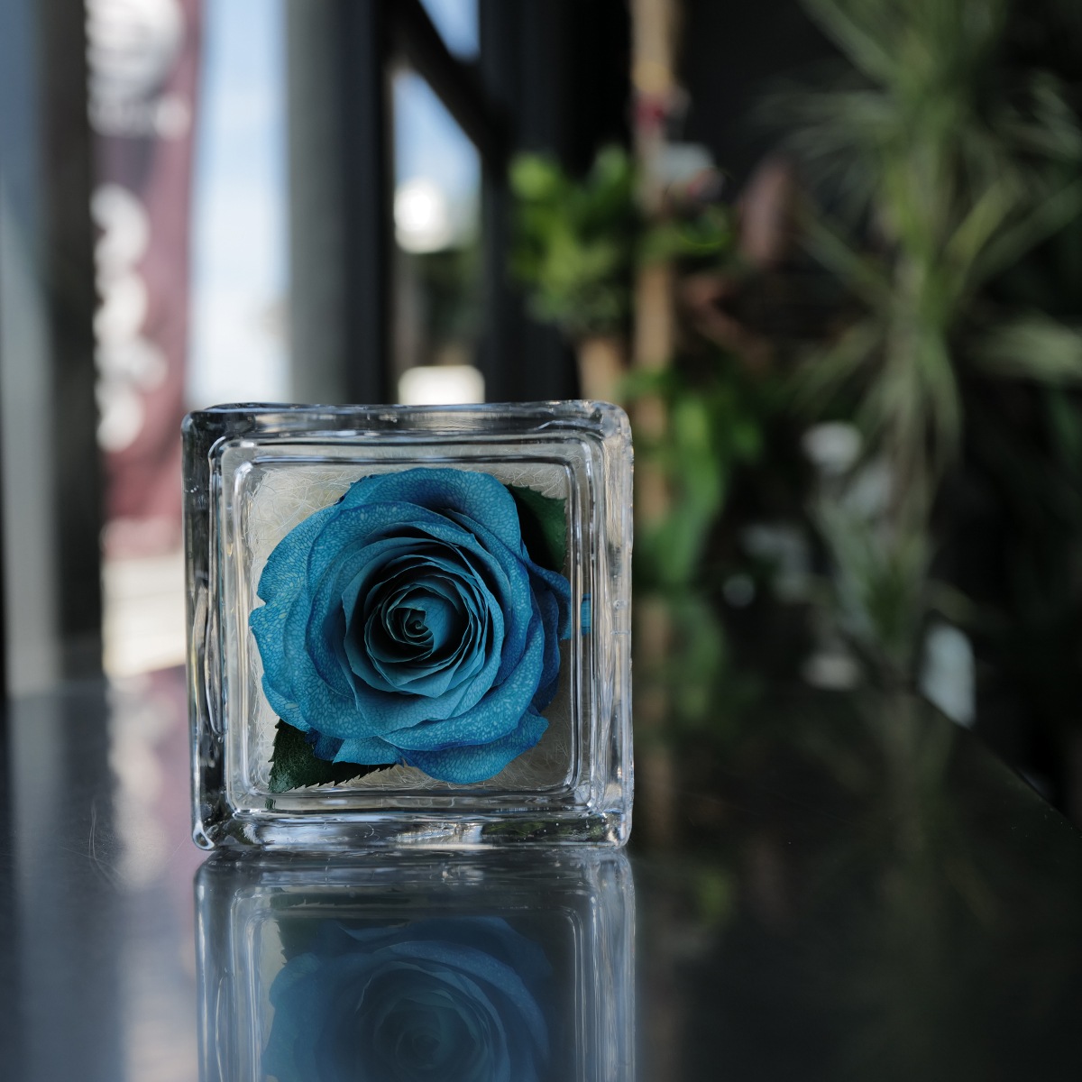 �ɥ饤�ե��忧�ΥХ� ���󥰥饹