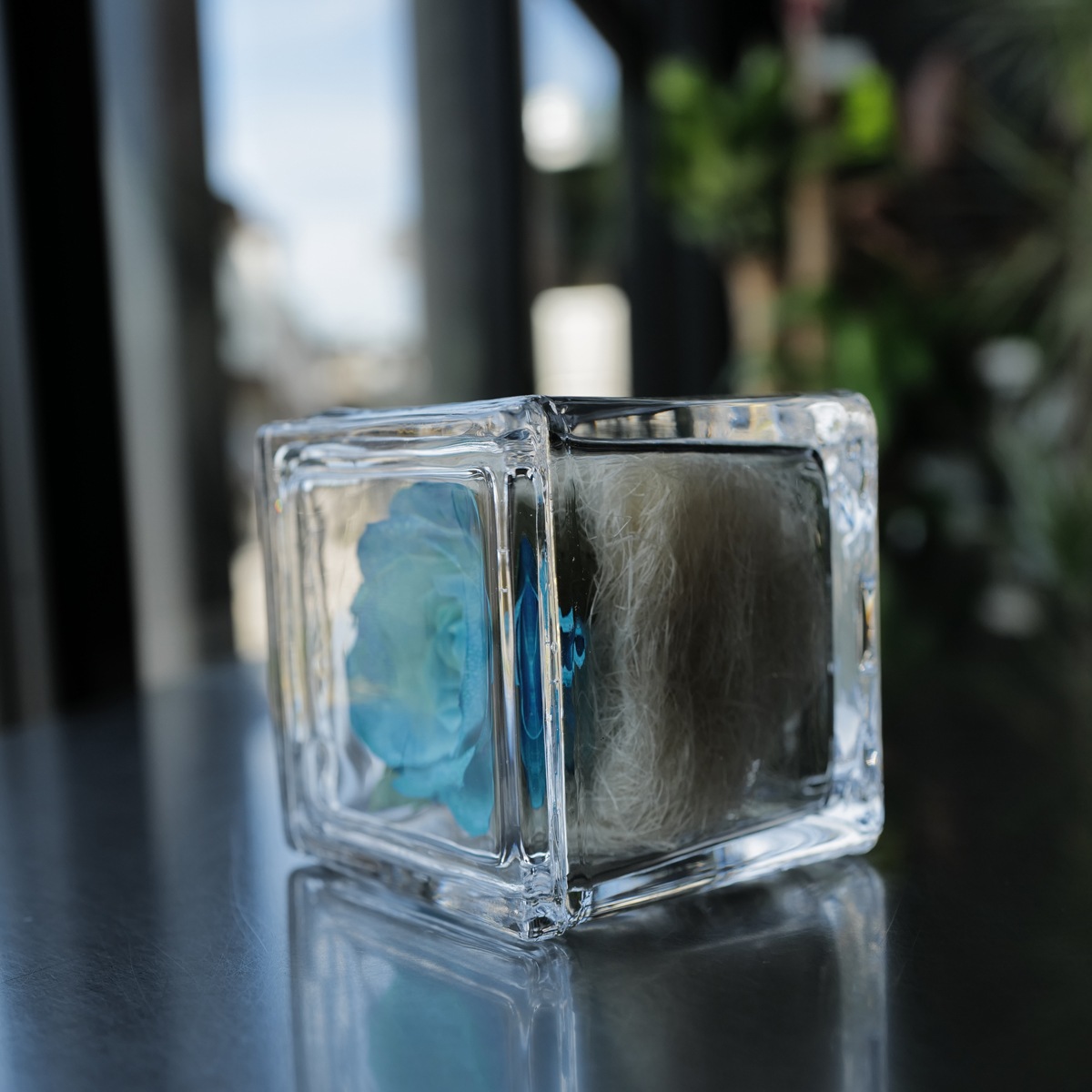 �ɥ饤�ե��忧�ΥХ� ���󥰥饹