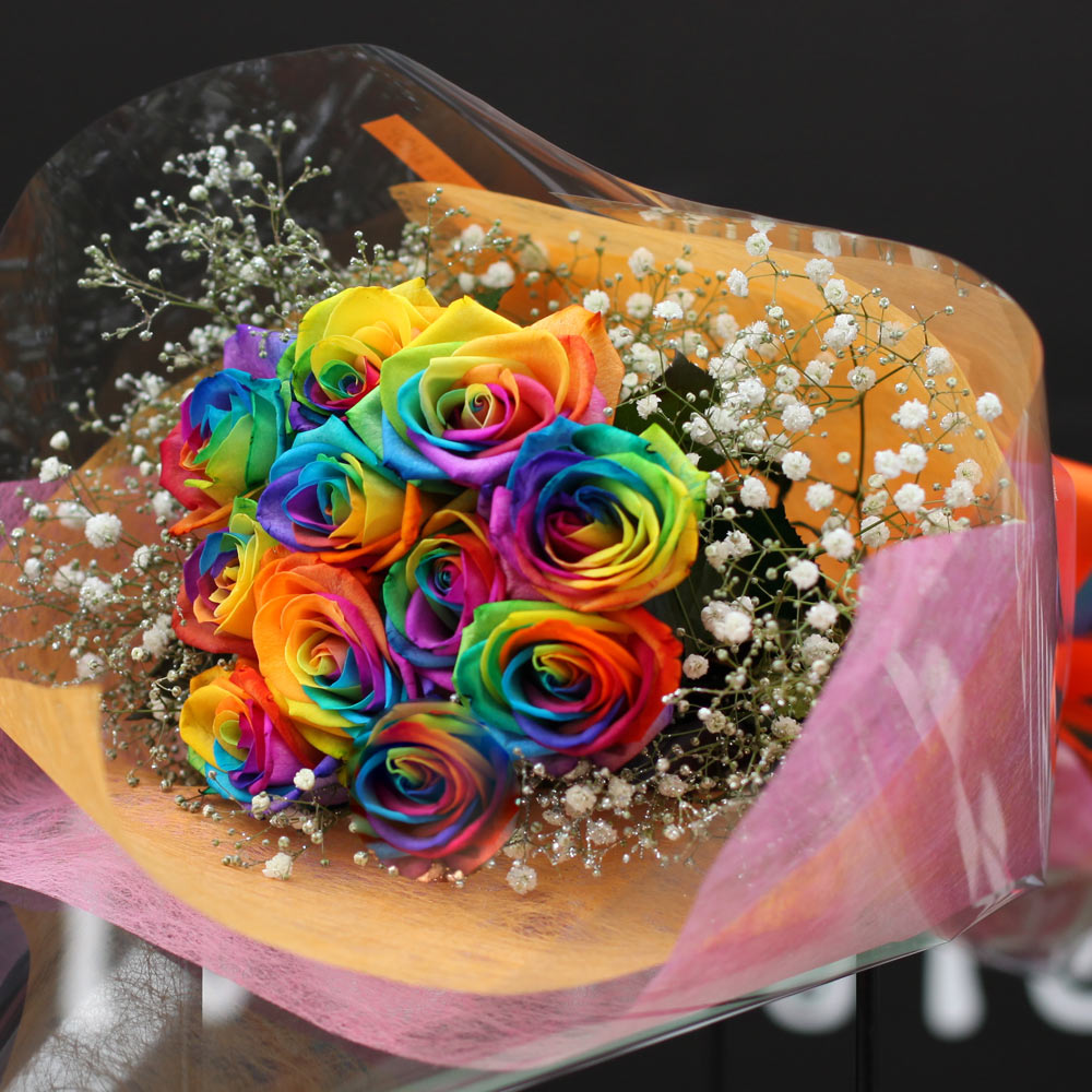 �쥤��ܡ���������12�ܤβ�«
