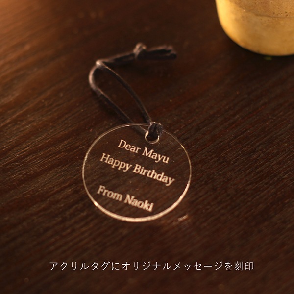 �ץꥶ���֥ɥե����쥤��ܡ����������ϡ��ȥե����