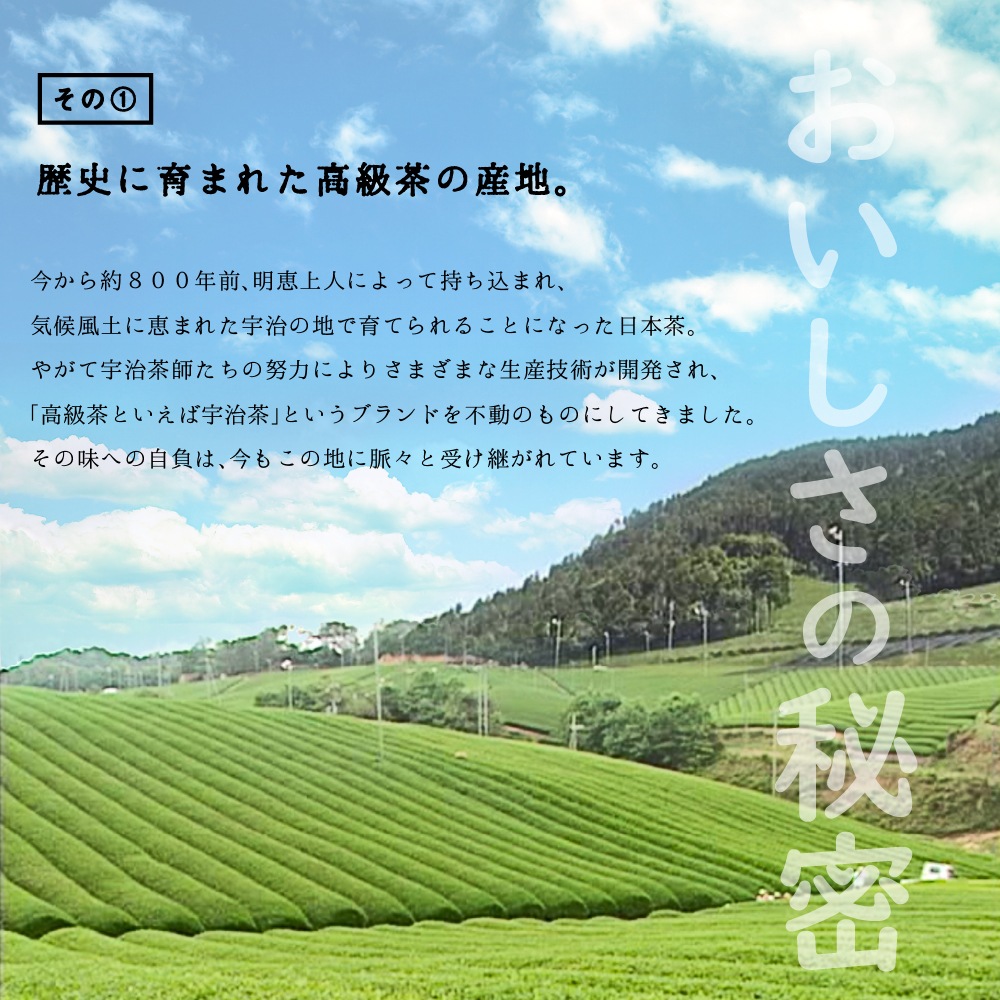 玉露　萬福　(94g入) 宇治茶 自宅用 京都 宇治田原 お茶 日本茶 茶葉