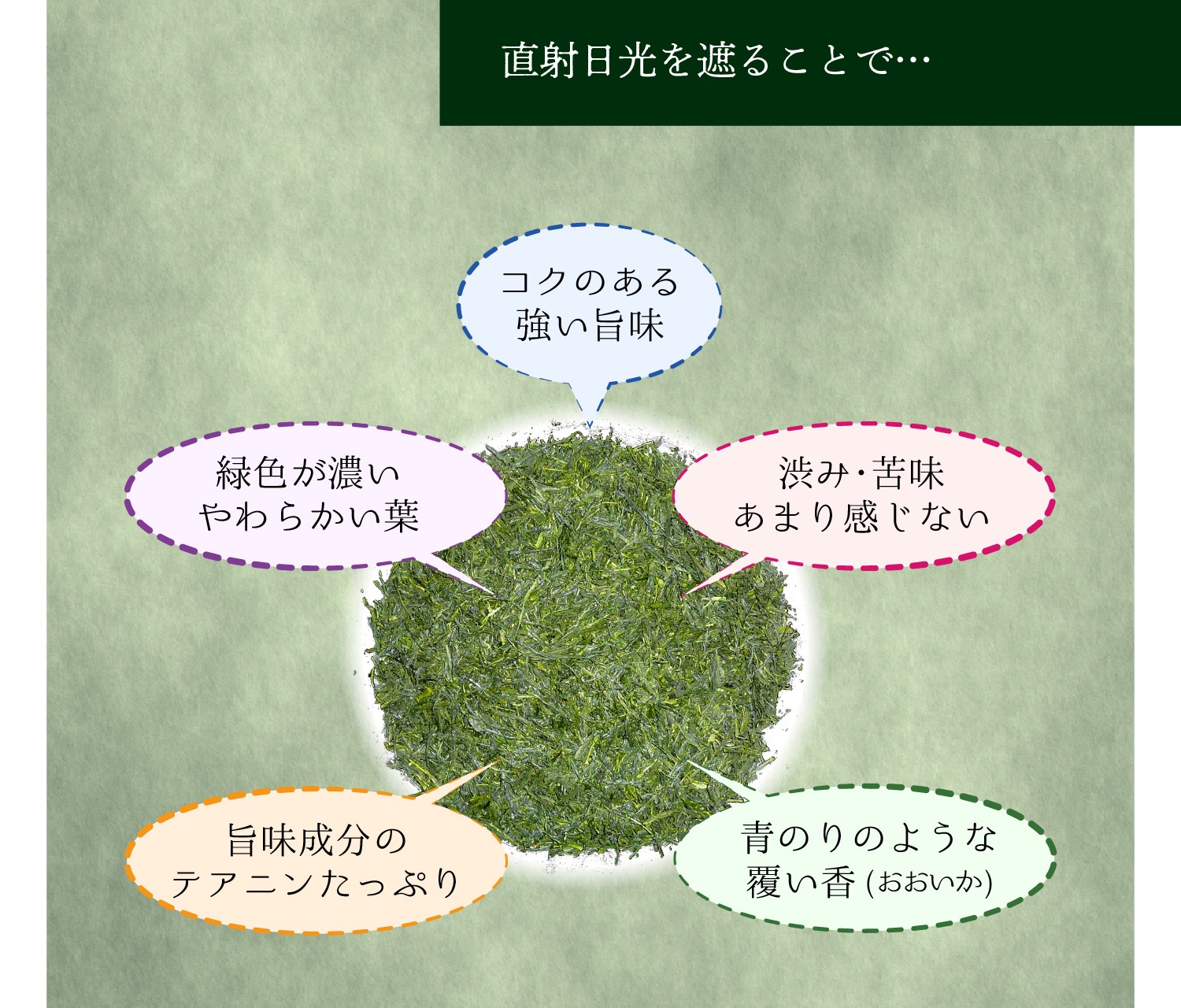 玉露ティーバッグ　(5g×6個入)　3袋セット 宇治茶 ティーバッグ 誕生日 お誕生日 バレンタイン