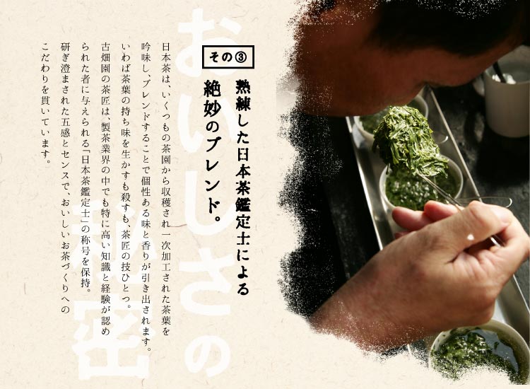 ルイボスティー(2g×24個入)3袋セット 宇治茶 ティーバッグ 誕生日 お誕生日 敬老の日