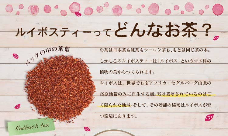 ルイボスティー(2g×24個入)3袋セット 宇治茶 ティーバッグ 誕生日 お誕生日 敬老の日