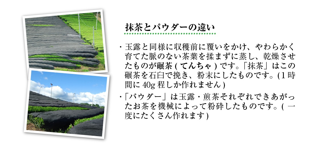 緑茶パウダー　(94ｇ入)　3袋セット　宇治茶 粉茶 誕生日 お誕生日 御歳暮