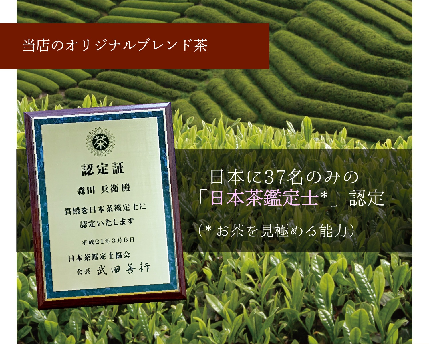 緑茶パウダー　(94ｇ入)　3袋セット　宇治茶 粉茶 誕生日 お誕生日 御歳暮