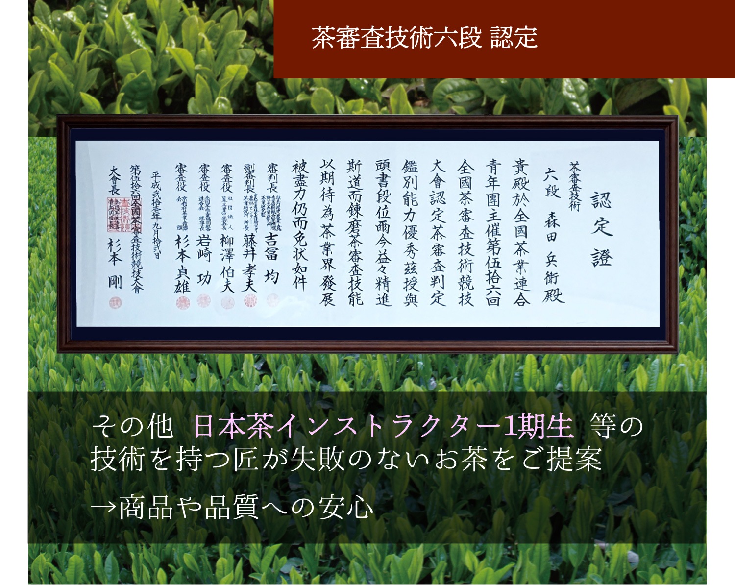 緑茶パウダー　(94ｇ入)　3袋セット　宇治茶 粉茶 誕生日 お誕生日 御歳暮