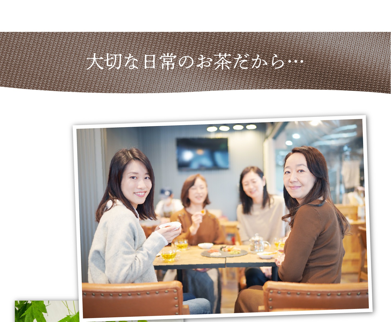 緑茶パウダー　(94ｇ入)　3袋セット　宇治茶 粉茶 誕生日 お誕生日 御歳暮