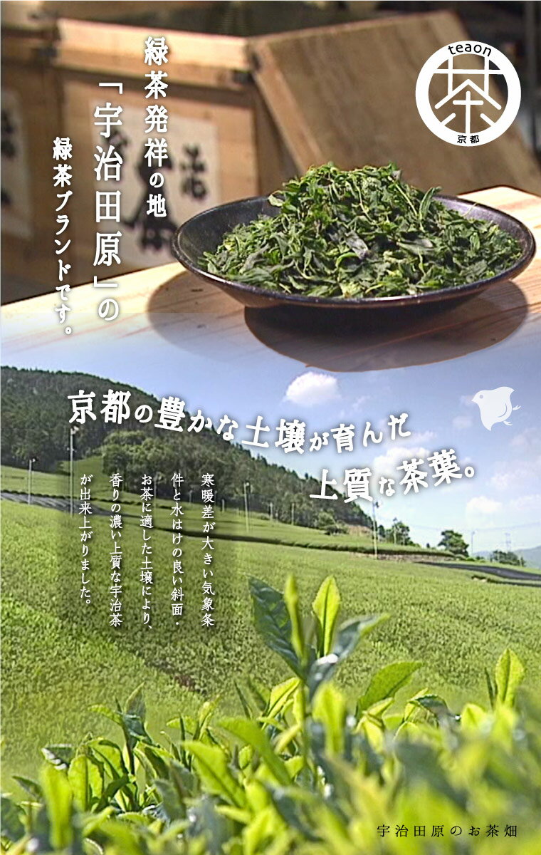 茶こし付きマグカップ(ブルー系)と朝・昼・夜茶の1煎パック×1袋　ギフトセット 宇治茶 茶葉 誕生日 お誕生日 新生活 母の日