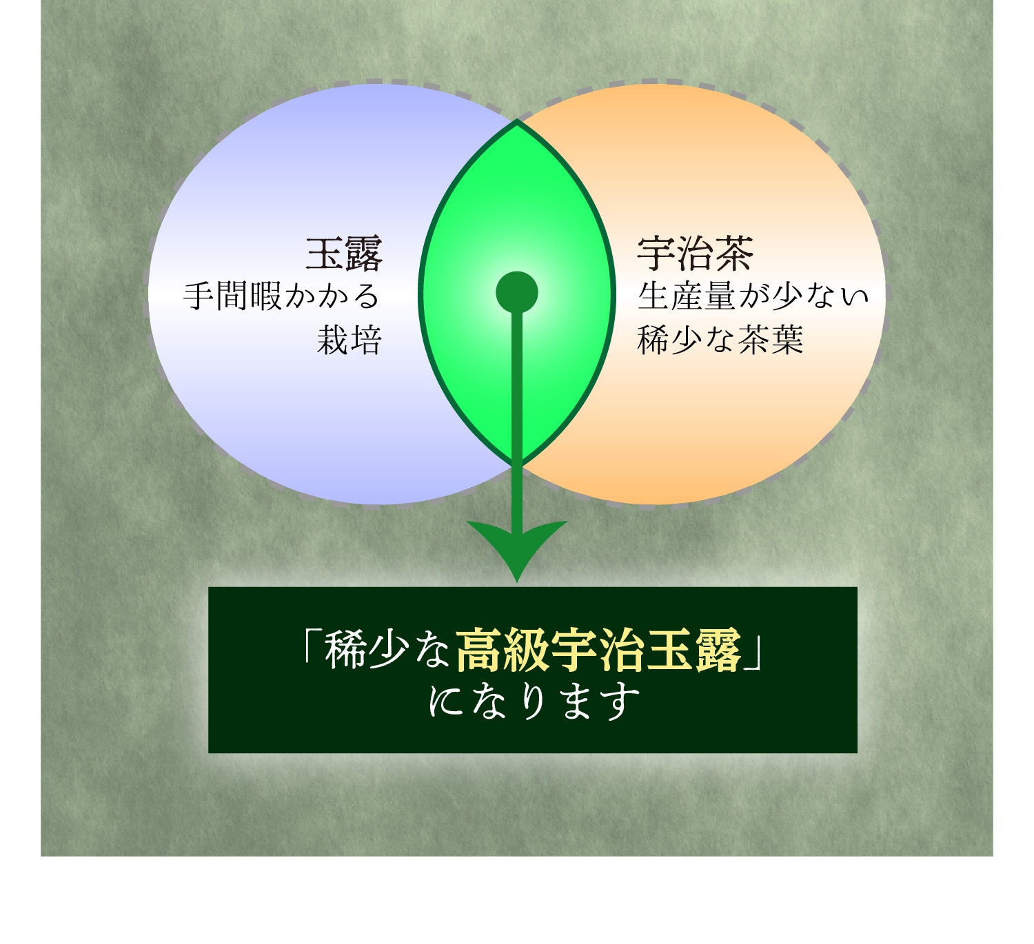 玉露ティーバッグ(6個入)とプリザーブドフラワー(レッド系) ギフトセット 宇治茶 ティーバッグ 誕生日 お誕生日 バレンタイン