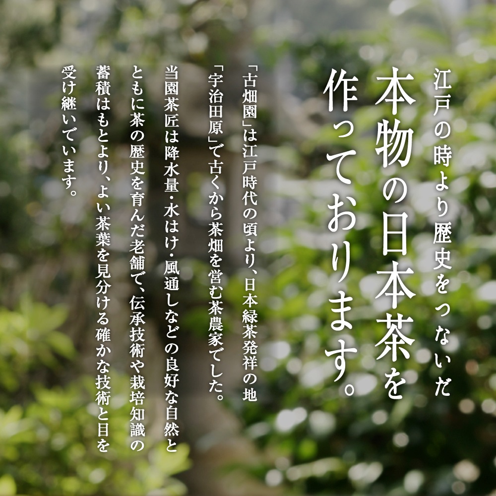 グリーンティー　(500ｇ入) 宇治茶 自宅用 京都 宇治田原 お茶 日本茶 お誕生日 御中元