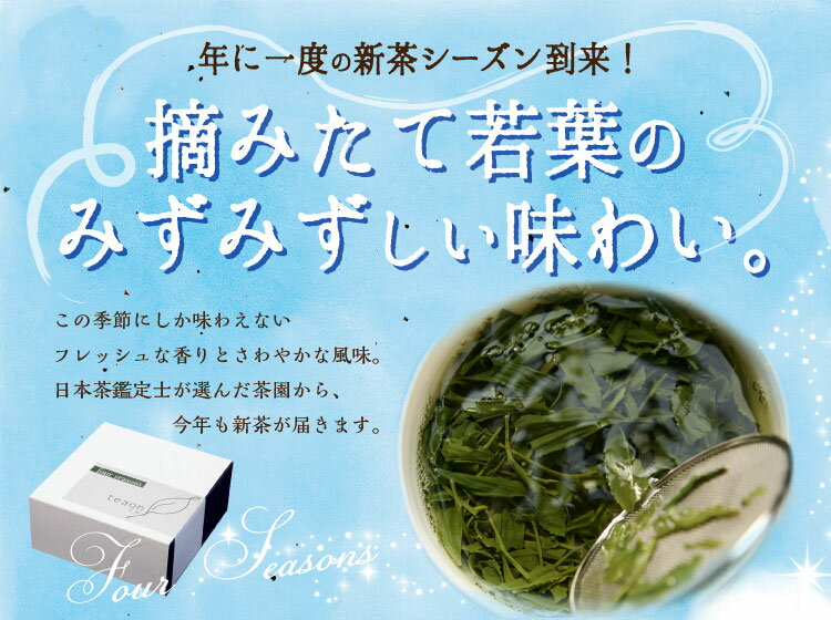 新茶・昼茶(各47g入) ギフトセット 宇治茶 茶葉 誕生日 お誕生日 父の日 御中元