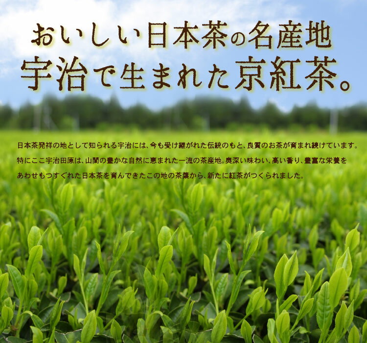 京紅茶(70g入)とプリザーブドフラワー(イエロー・グリーン系)　ギフトセット 宇治茶 茶葉 誕生日 お誕生日 御中元