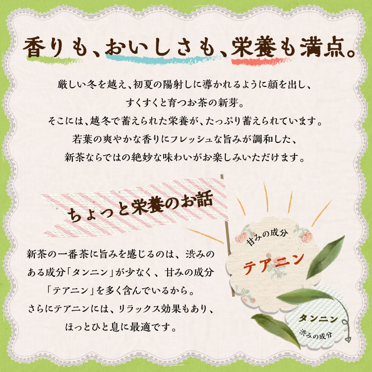 新茶・夜茶(各47g入) ギフトセット 宇治茶 茶葉 誕生日 お誕生日 父の日 御中元