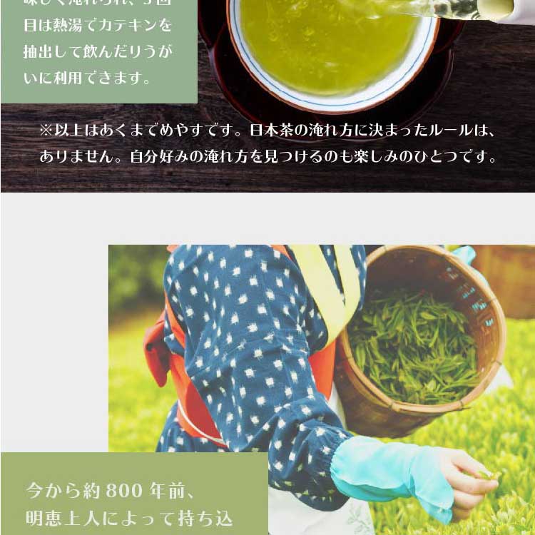 緑茶ティーバッグ（18個入）とハーバリウム(レッド系)　ギフトセット 宇治茶 ティーバッグ 誕生日 お誕生日 バレンタイン