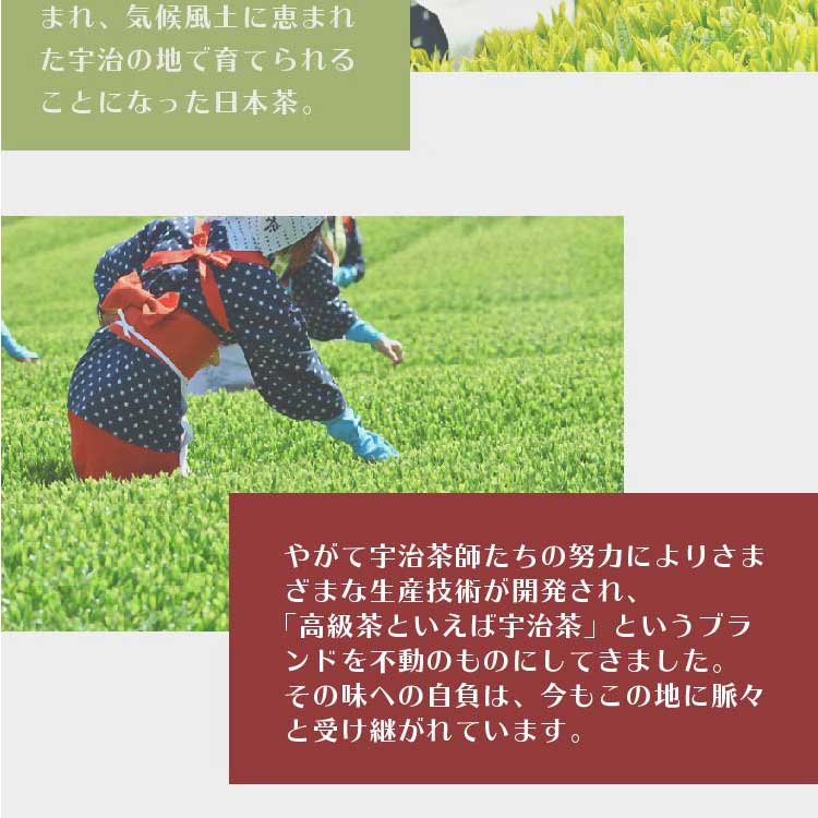 緑茶ティーバッグ（18個入）とハーバリウム(レッド系)　ギフトセット 宇治茶 ティーバッグ 誕生日 お誕生日 バレンタイン