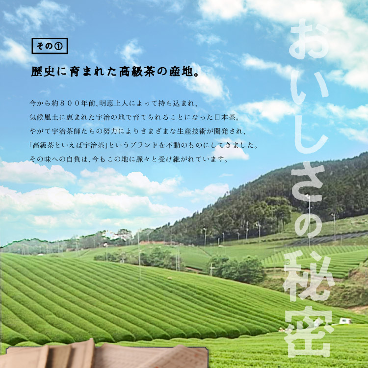 新茶・朝茶・昼茶 (各47g入×3箱セット) 高級宇治茶 宇治茶 茶葉 誕生日 お誕生日 父の日 御中元