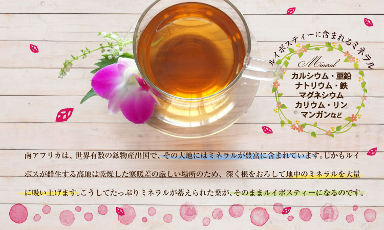 ルイボスティー(2g×24個入)とハーバリウム(レッド系)　ギフトセット 宇治茶 ティーバッグ 誕生日 お誕生日 新生活 母の日