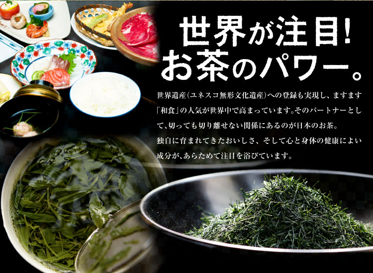 緑茶ティーバッグ(18個入),ルイボスティー(24個入)　2種ギフトセット 宇治茶 ティーバッグ 誕生日 お誕生日 新生活 母の日
