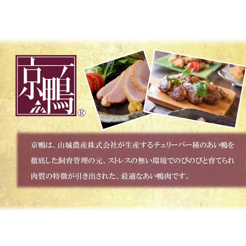 京鴨スパイスキーマカレー 3個セット (180g×3個) 宇治茶 誕生日 お誕生日 御歳暮