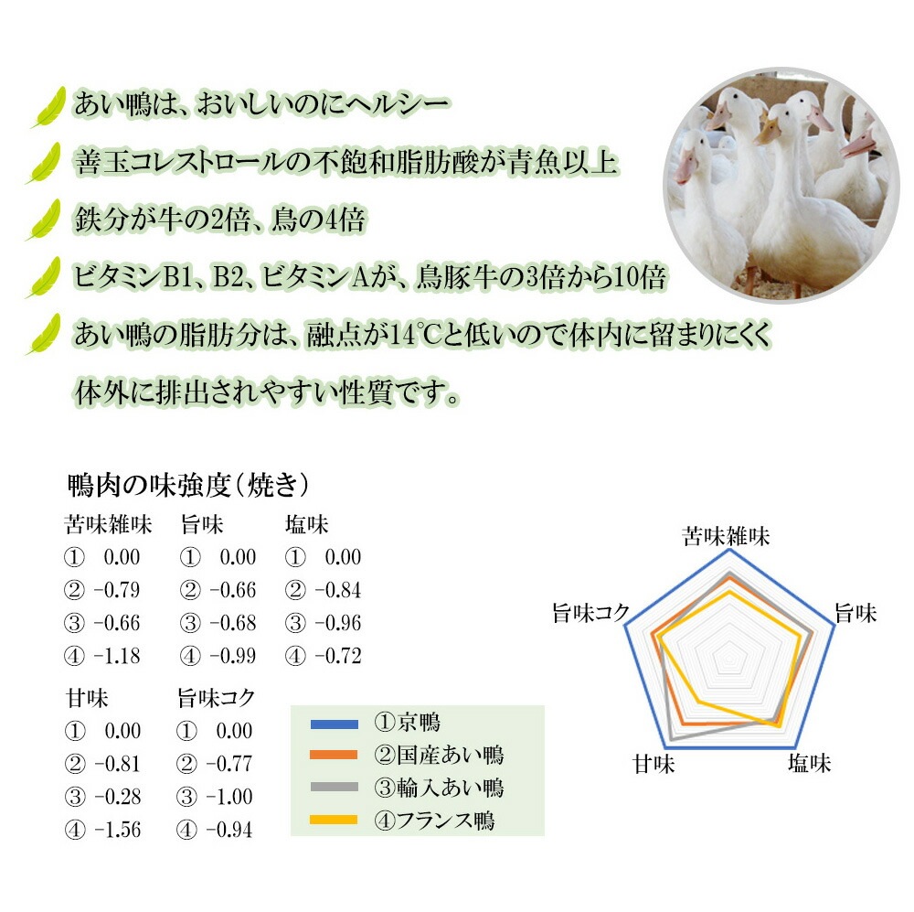 京鴨スパイスキーマカレー 3個セット (180g×3個) 宇治茶 誕生日 お誕生日 御歳暮