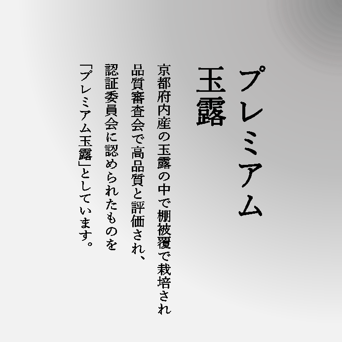 玉露 老松 (375g入) 缶入 宇治茶 自宅用 京都 宇治田原 お茶 日本茶 茶葉 お誕生日 新生活 母の日 新商品