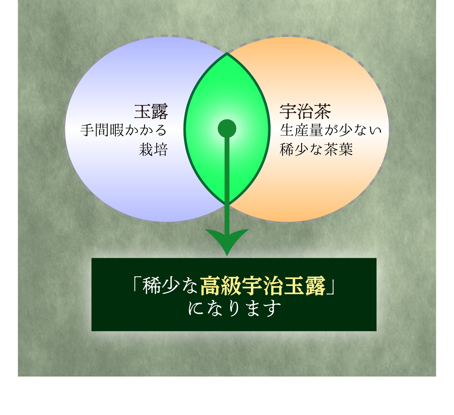 玉露ティーバッグ(6個入),緑茶ティーバッグ(18個入),ほうじ茶ティーバッグ(22個入),ルイボスティー(24個入)　4種ギフトセット 宇治茶 ティーバッグ 茶葉 誕生日 お誕生日 新生活 母の日 新商品