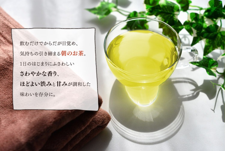 朝茶(47g入)とハーバリウム(イエロー・グリーン系) ギフトセット 宇治茶 茶葉 誕生日 お誕生日 ホワイトデー