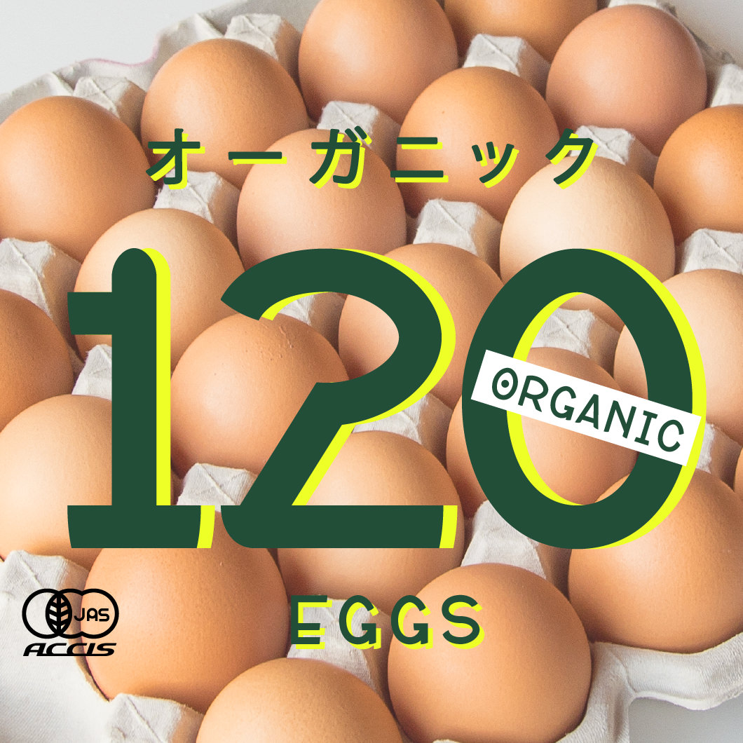 オーガニック平飼い有精卵120個