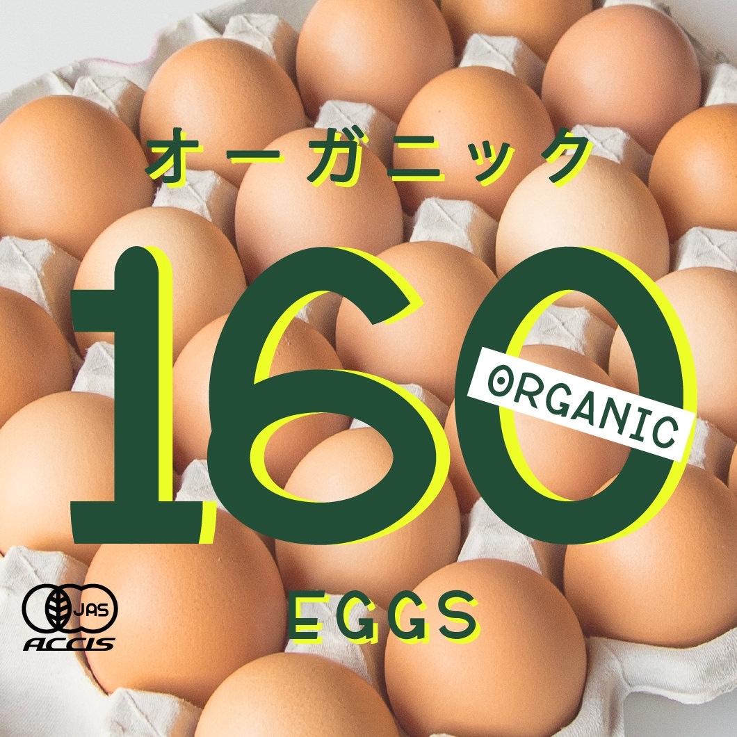 オーガニック平飼い有精卵160個
