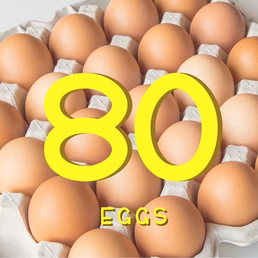 平飼い有精卵80個