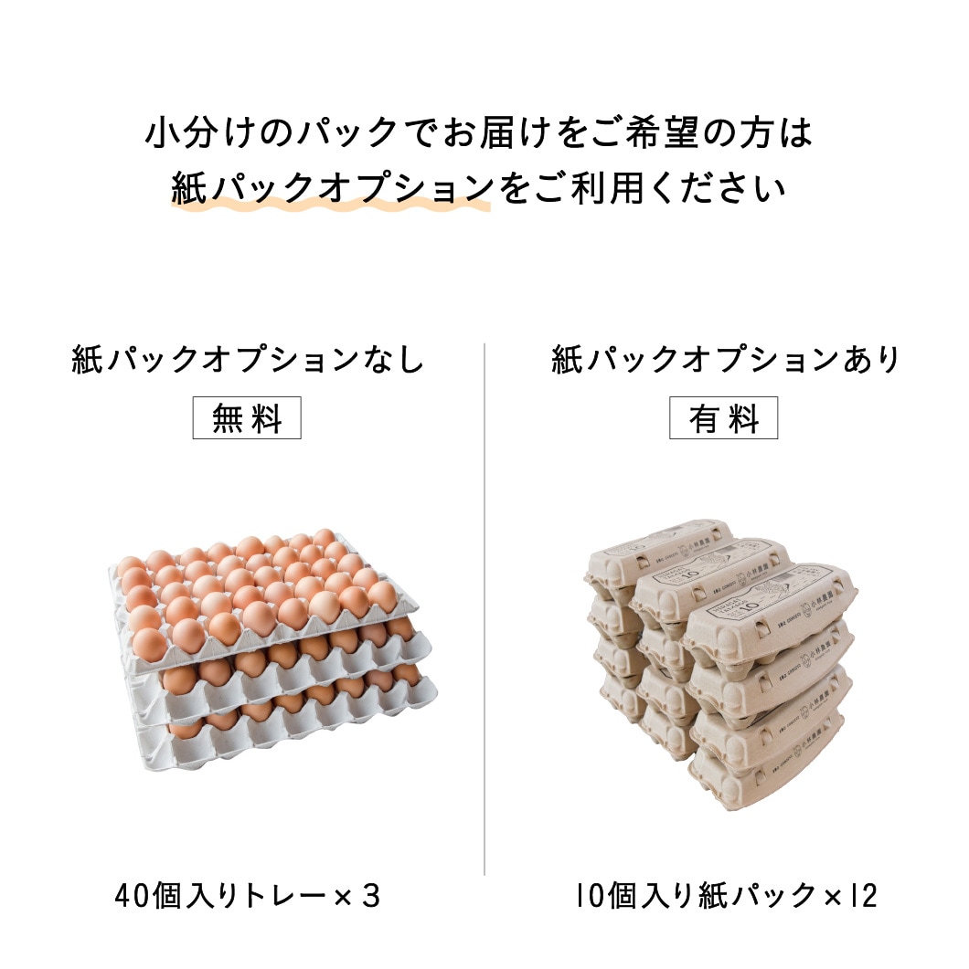 平飼い有精卵120個