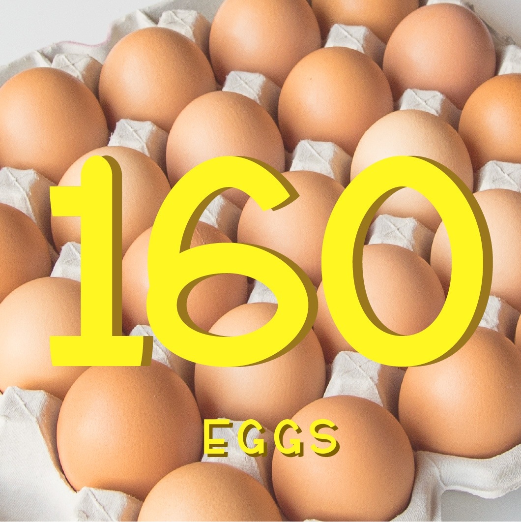 平飼い卵90個4/16常温発送 teikibin_tamago4.png?v=