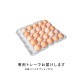 定期購入 ｜ オーガニック平飼い有精卵25個