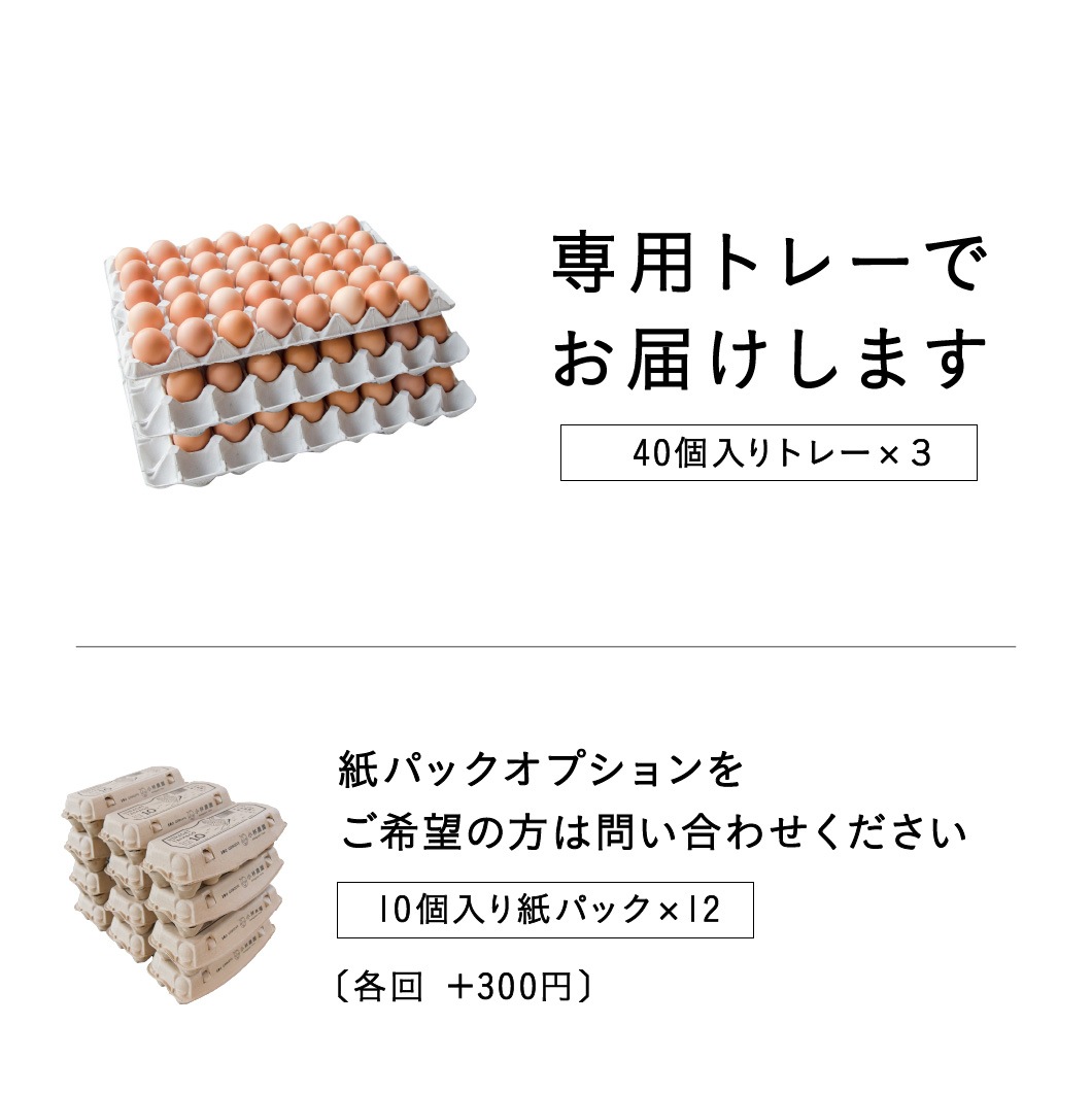 定期購入 ｜ オーガニック平飼い有精卵120個