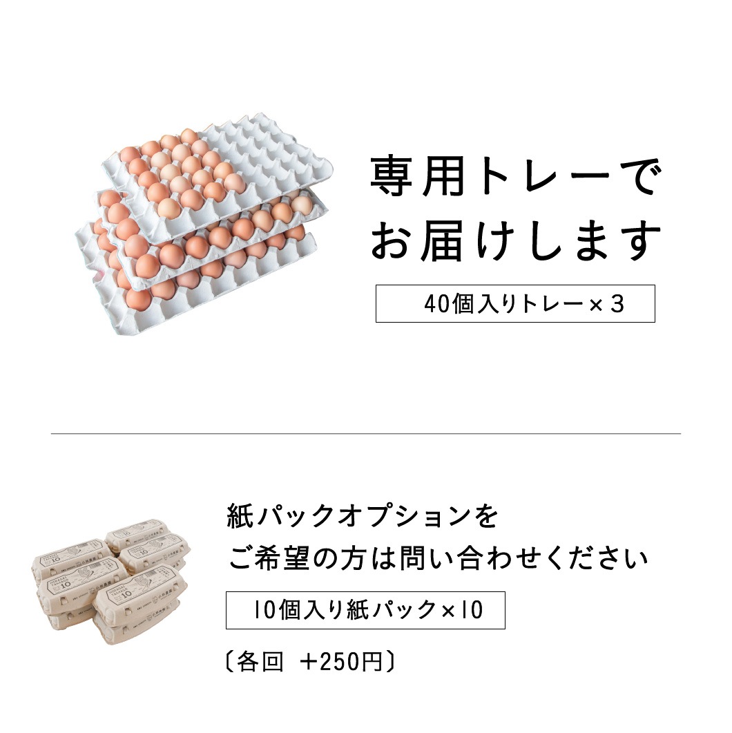 定期購入 ｜ 平飼い有精卵100個