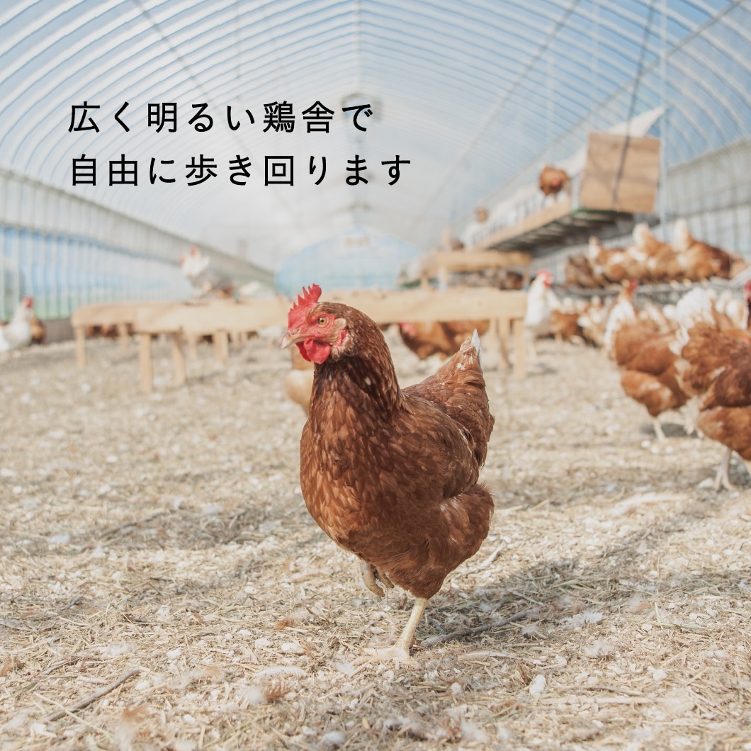 定期購入 ｜ 平飼い有精卵100個