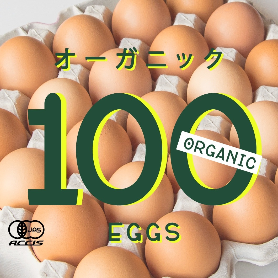 オーガニック平飼い有精卵100個